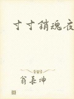 寸寸销魂夜春光