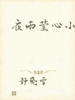 夜雨莹心小说