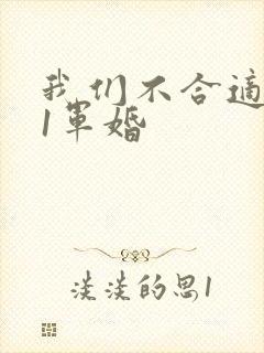 我们不合适1v1军婚