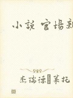 小说 官场新贵