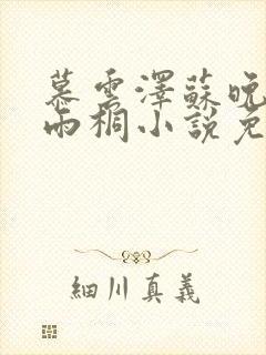 慕云泽苏晚晴夏雨桐小说免费阅读