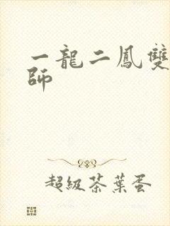 一龙二凤双飞老师