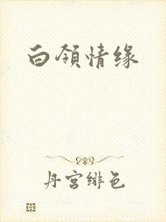 白领情缘