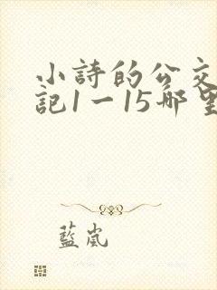 小诗的公交车日记1一15哪里能看