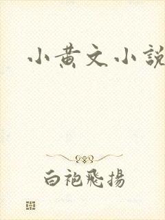 小黄文小说