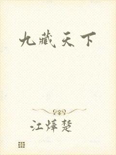 九藏天下