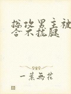 总攻男主被C得合不拢腿