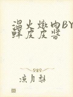 温火炖肉BY海鲜皮皮酱