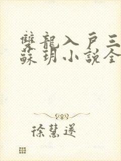 双龙入户三人行苏玥小说全文阅读