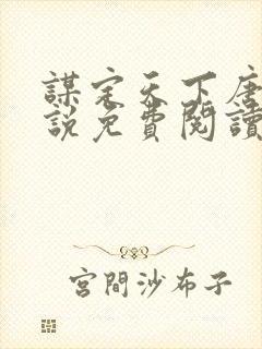 谋定天下唐诚小说免费阅读