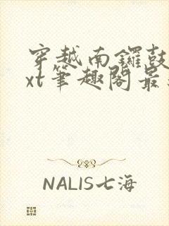 穿越南锣鼓巷txt笔趣阁最新章节