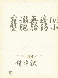 宠溺无边1v3双胞胎的小说