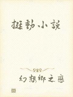 挺动小说
