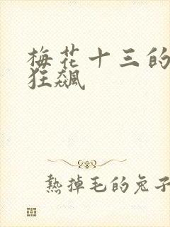 梅花十三的乳液狂飙