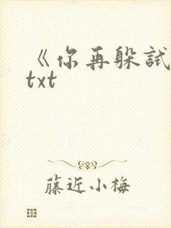 《你再躲试试》txt
