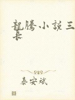 龙腾小说三宝局长