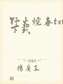 野火烧春txt下载