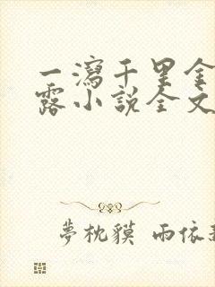 一泻千里金银花露小说全文免费阅读