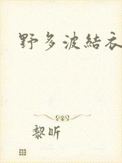 野多波结衣