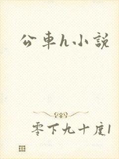 公车h小说