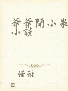 爷爷开小米的包小说