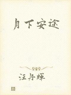 月下安途