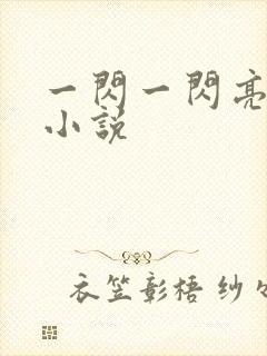 一闪一闪亮星星小说