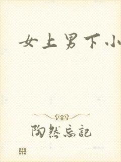 女上男下小说