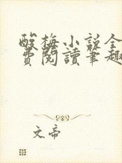 酸梅小说全文免费阅读笔趣阁