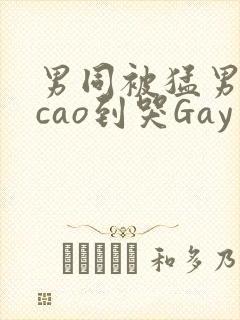 男同被猛男房东cao到哭Gay