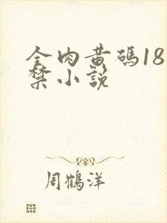 全肉黄码18无禁小说
