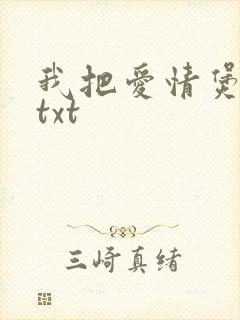 我把爱情煲成汤txt