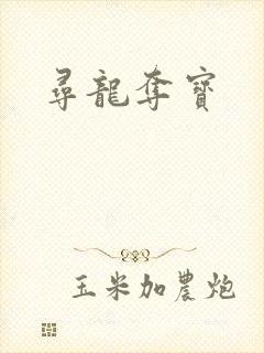 寻龙夺宝