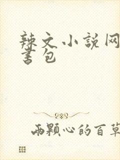 辣文小说网第二书包