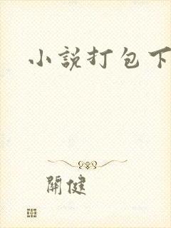 小说打包下载