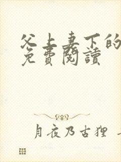 父上妻下的小说免费阅读