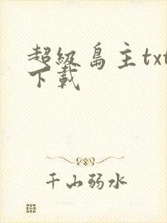 超级岛主txt下载
