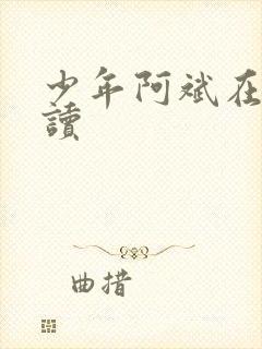 少年阿斌在线阅读