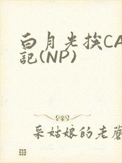 白月光挨CAO记(NP)