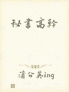 秘书高干
