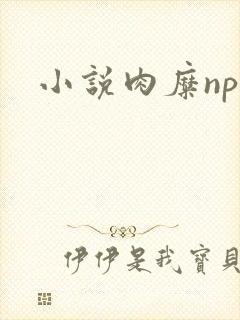 小说肉糜np