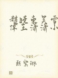 赵晓东吴雪晴郑伟王潇潇小说