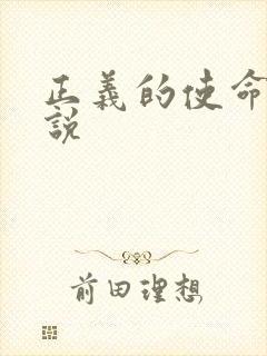 正义的使命 小说