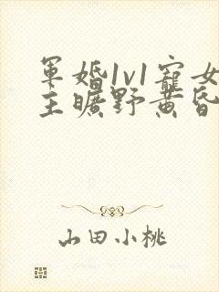 军婚1v1宠女主旷野黄昏