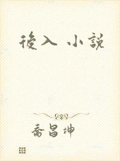 后入 小说
