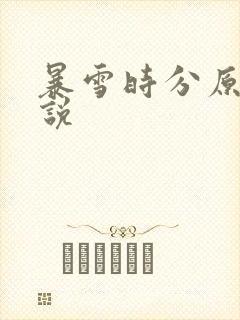 暴雪时分原著小说