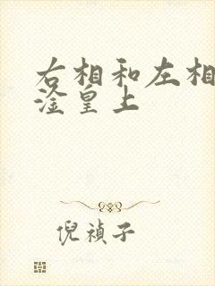 右相和左相一起淦皇上