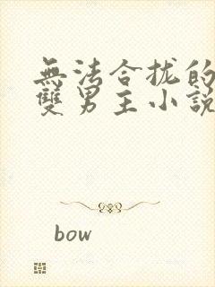 无法合拢的总裁双男主小说