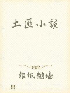 土匪小说