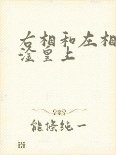 右相和左相一起淦皇上